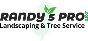 Randy's Pro Landscaping & Tree Service – Piscataway, NJ