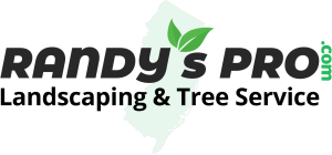 Randy's Pro Landscaping & Tree Service – Piscataway, NJ