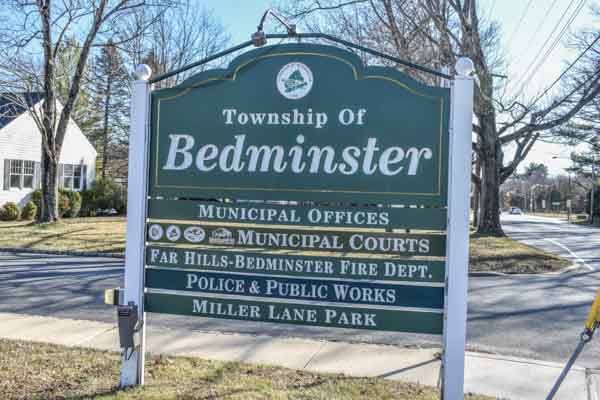 Bedminster, NJ - Randy's Pro Tree Service