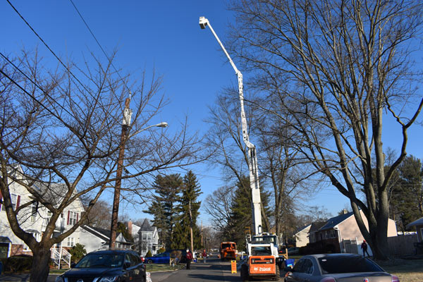 One of Randy's bucket trucks that extends up to 110 feet into the air! Imagine the trees in Piscataway, NJ we could cut for you.