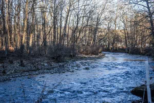 High Bridge, NJ - Randy's Pro Tree Service