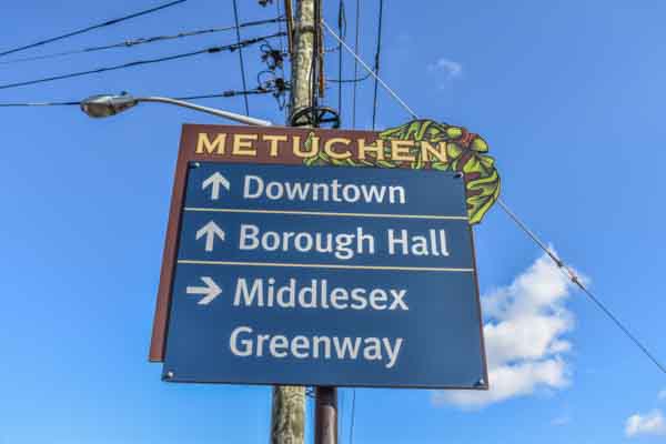 Metuchen, NJ - Randy's Pro Tree Service