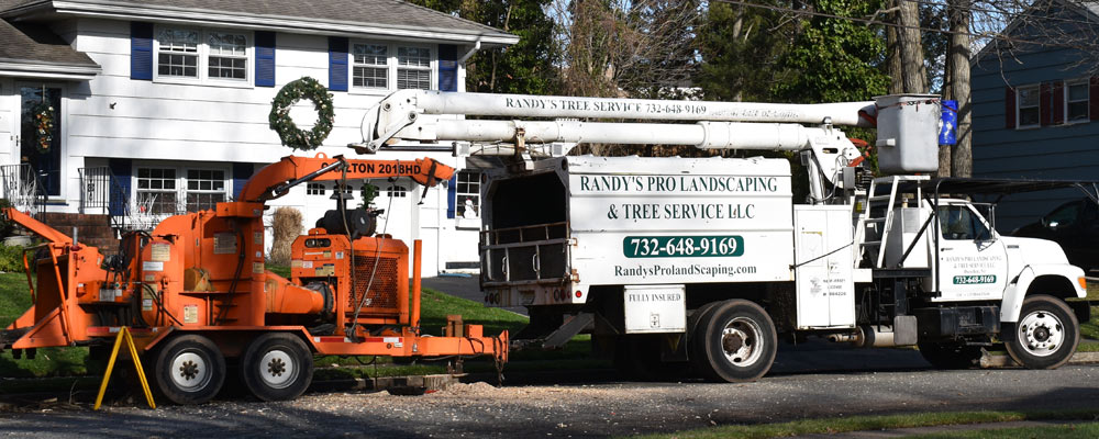 Randy's Pro Tree Service serving  East Brunswick, NJ, ready to begin a job.