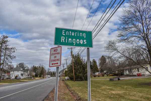 Ringoes, NJ - Randy's Pro Tree Service