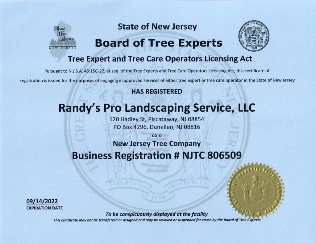 NJTC License #806509 gives Randy's Pro authority to perform tree service in Somerville 