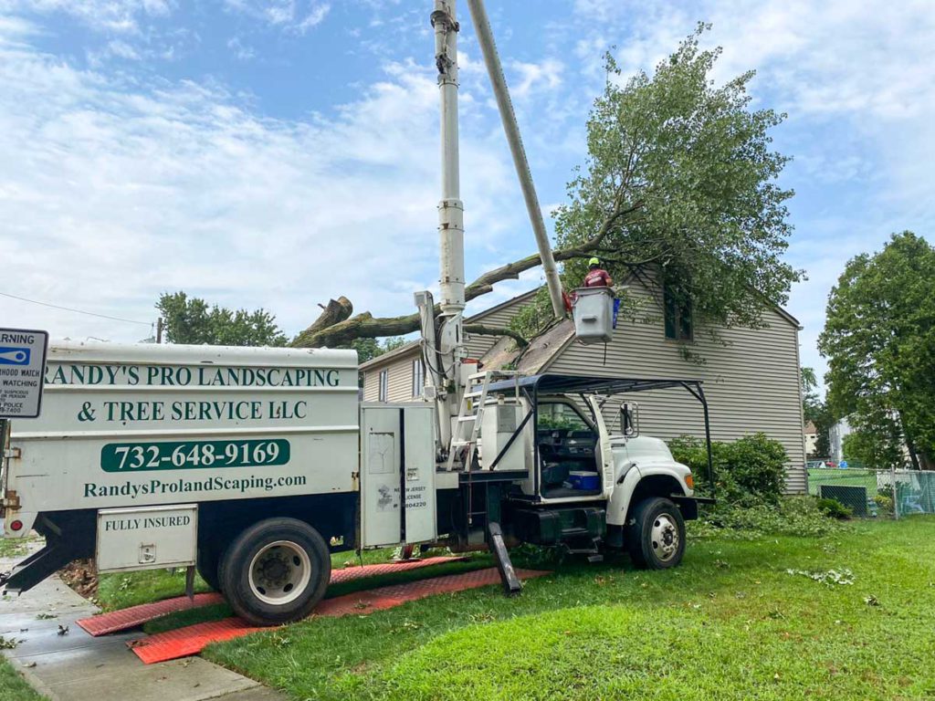 Storm Damage Tree Response in Central NJ