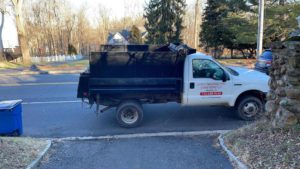 Tree Service in Berkeley Heights,NJ