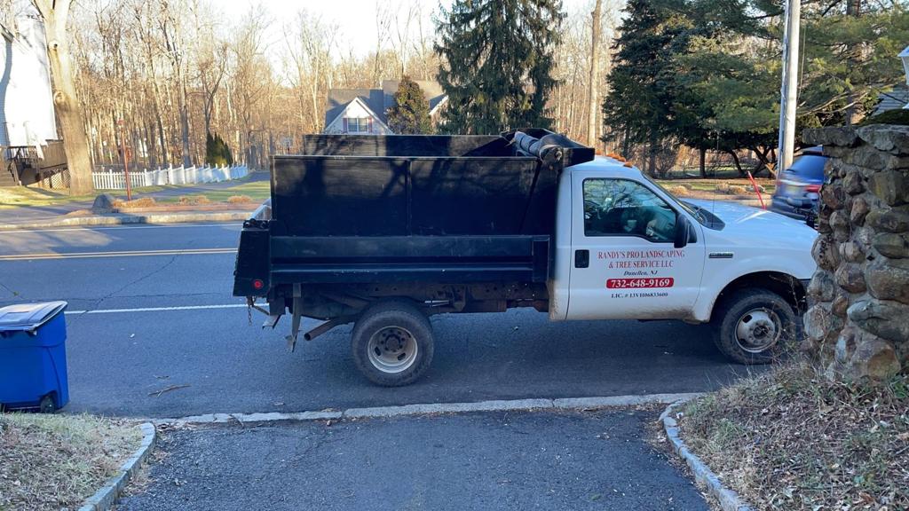 Tree Service Job in Berkeley Heights
