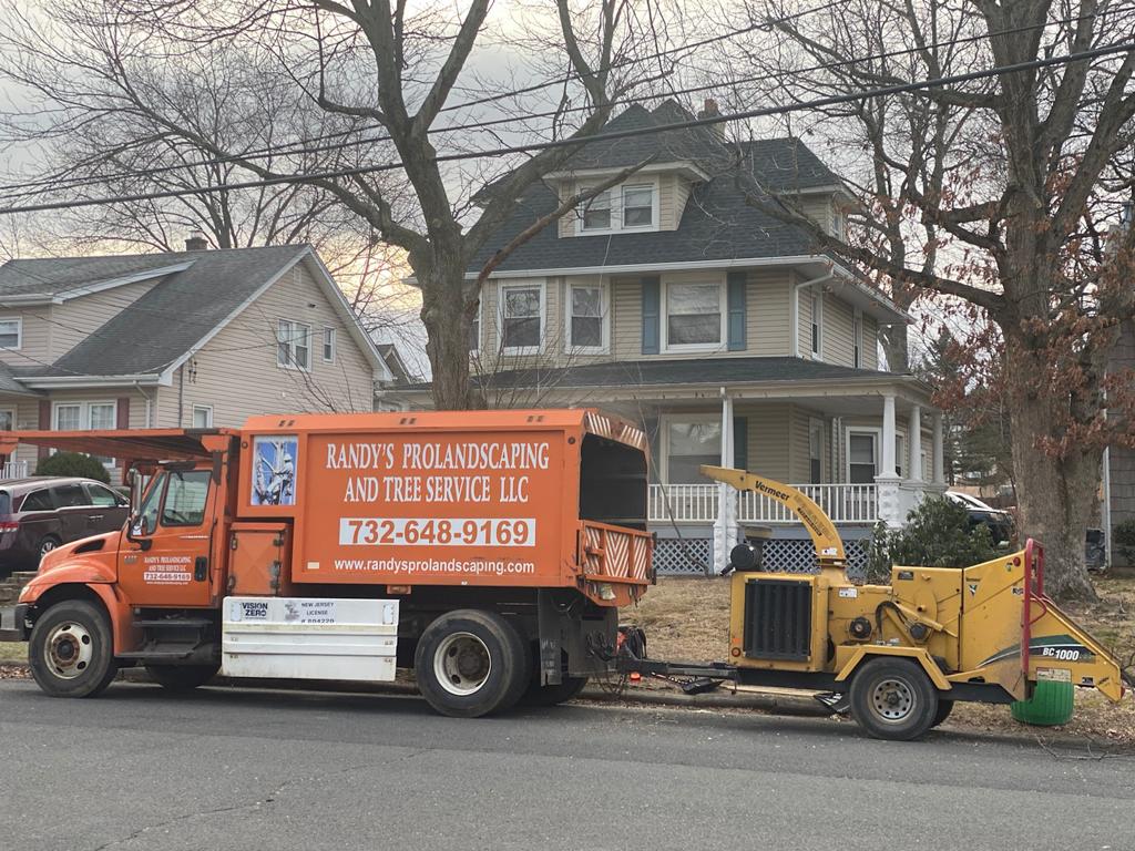 Tree Service in Dunellen,NJ