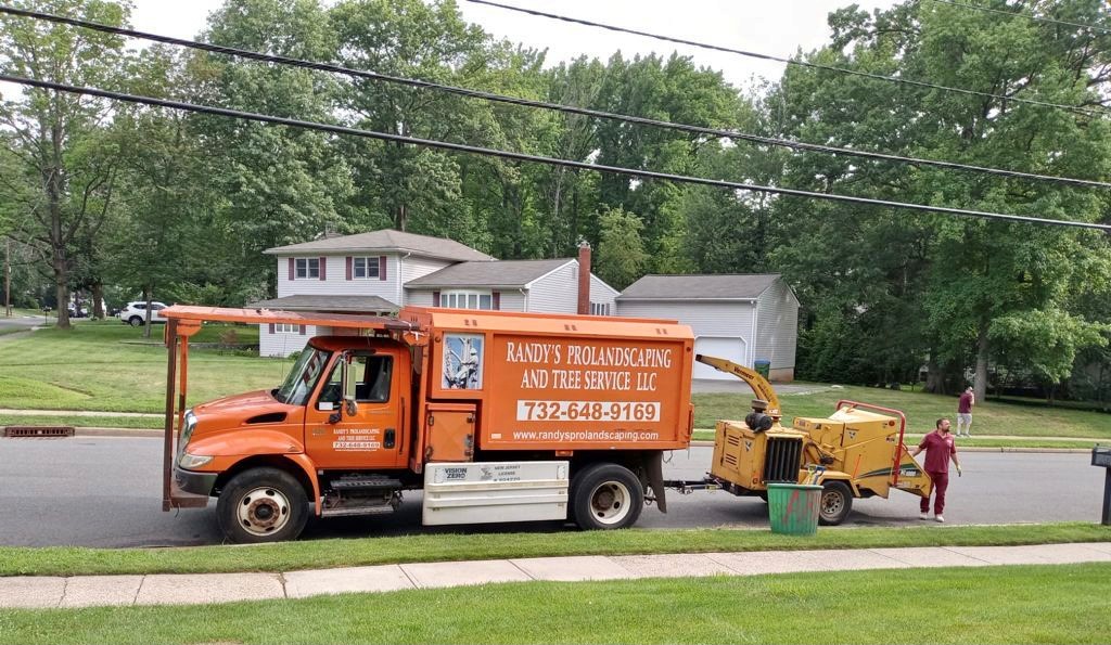 Tree Service in Edison,NJ on Livingston Ave