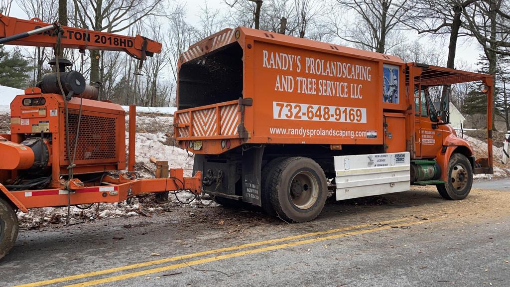 Tree Service Job in Flemington