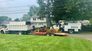 Tree Service in Piscataway,NJ on W 6th St