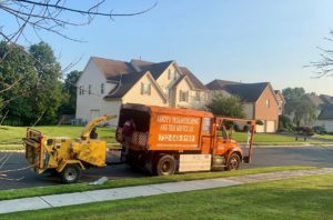 Tree Service in Somerset,NJ on Rue Chagall
