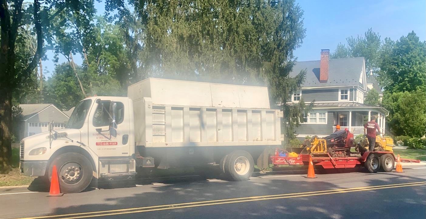 Tree Service in Westfield,NJ on Mountain Ave