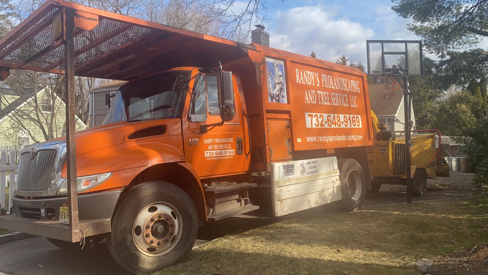 Tree Service Job in Westfield
