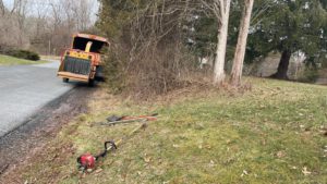 Tree Service in Whitehouse Station,NJ