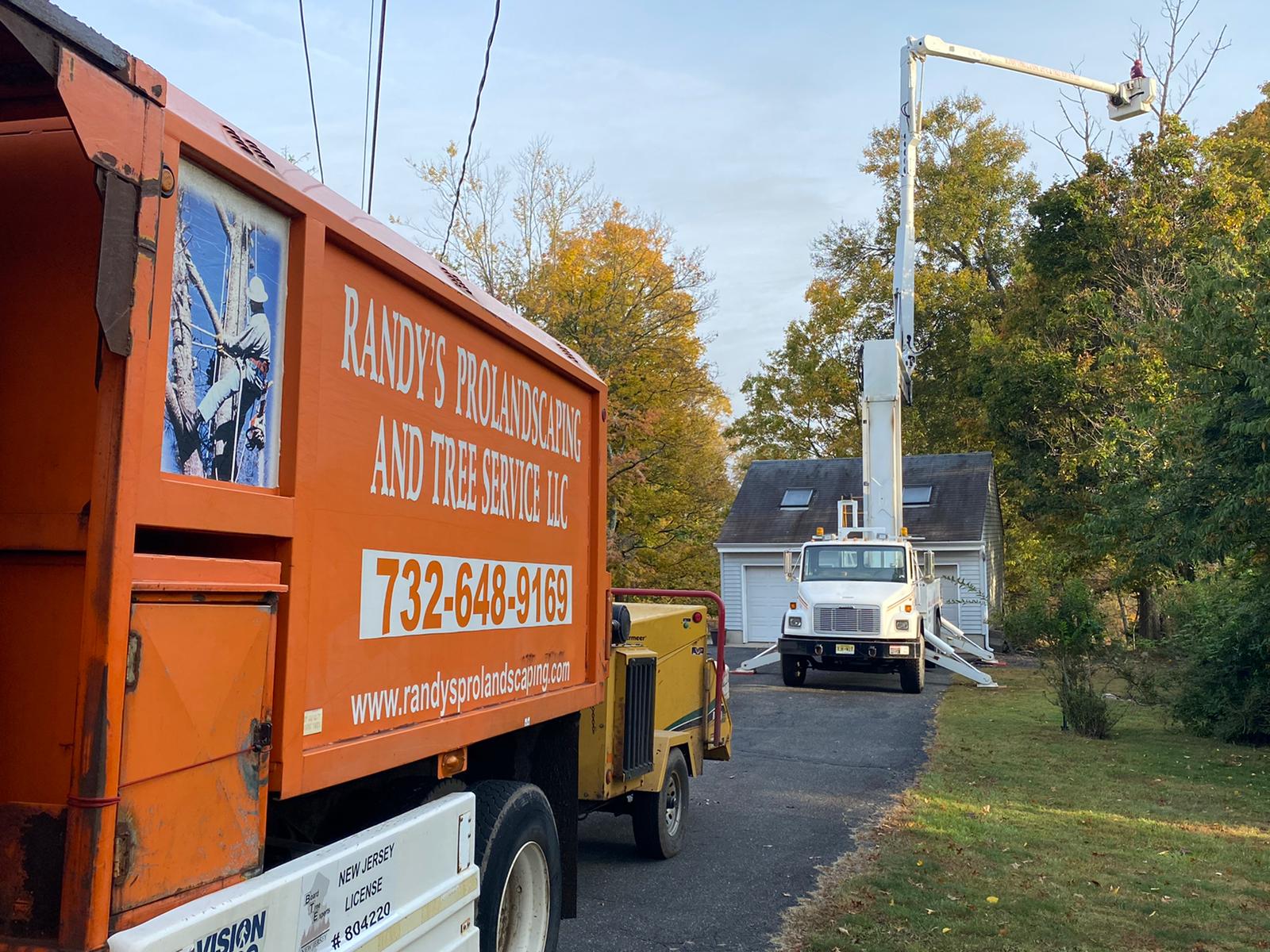 Tree Service in Branchburg,NJ