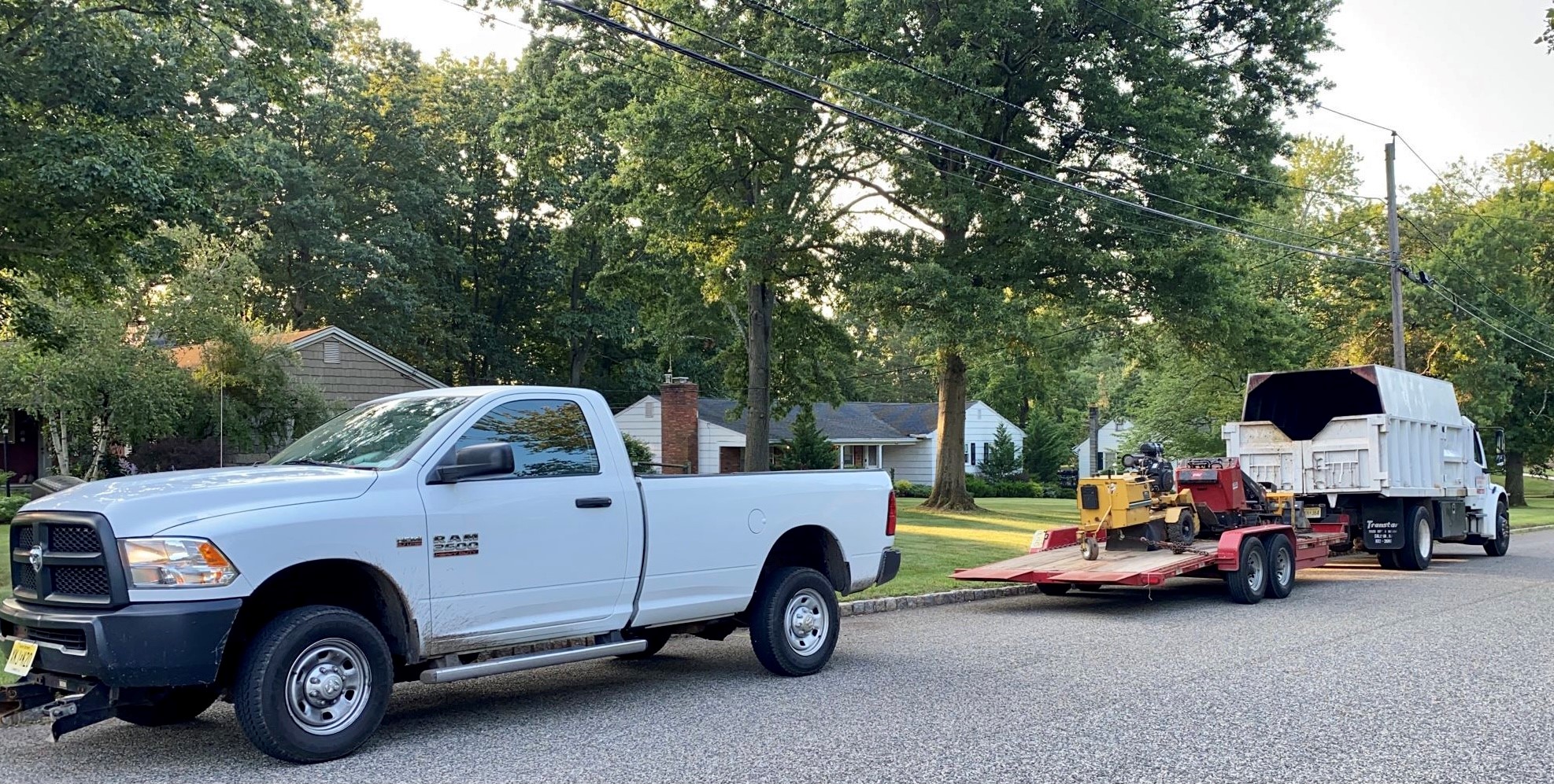 Tree Service in Bridgewater,NJ on Glen Ridge Dr