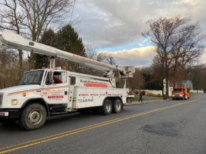 Tree Service in Colonia,NJ