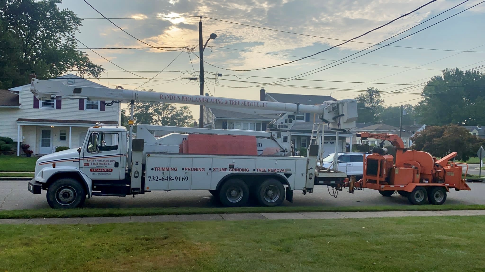 Tree Service Job in Colonia