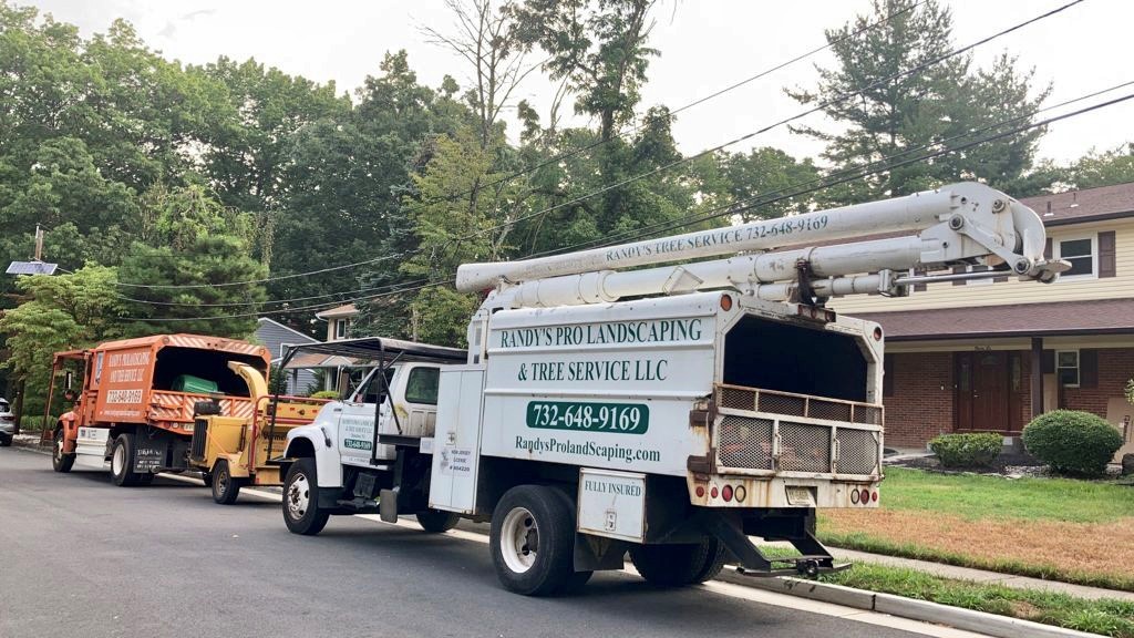 Tree Service in East Brunswick,NJ on Putnam Rd