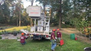 Tree Pruning Service in Edison,NJ