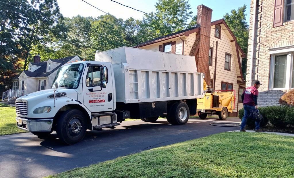 Tree Service in Livingston,NJ on Wilson Terrace