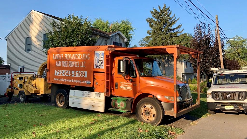 Tree Service in Middlesex,NJ on Lorraine Ave