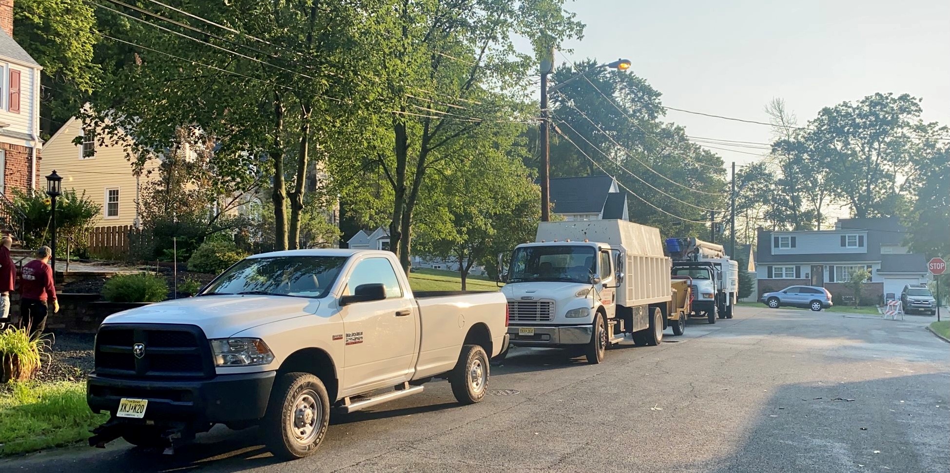 Tree Service in Scotch Plains,NJ on Lake Park Terrace