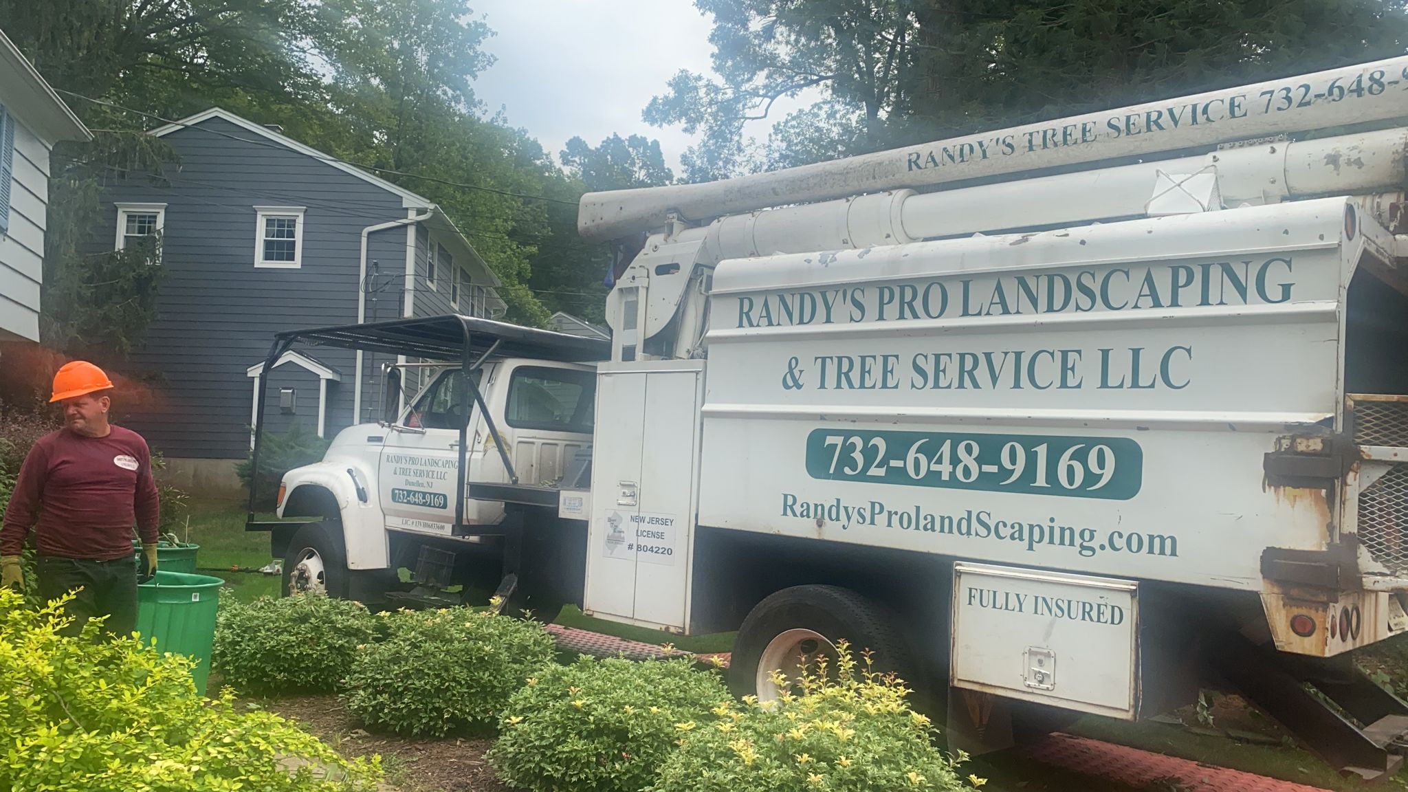 Tree Removal in Berkeley Heights,NJ on Lenape Ln