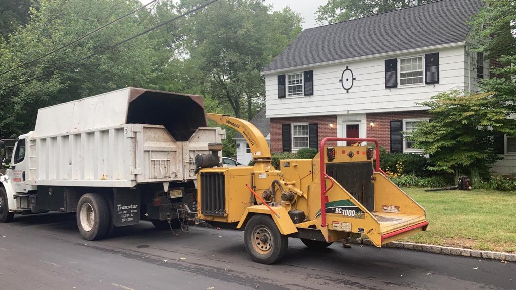 Tree Service in Chatham,NJ on Edgewood Rd