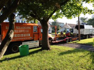 Tree Service in Colonia,NJ on Canterbury Ln