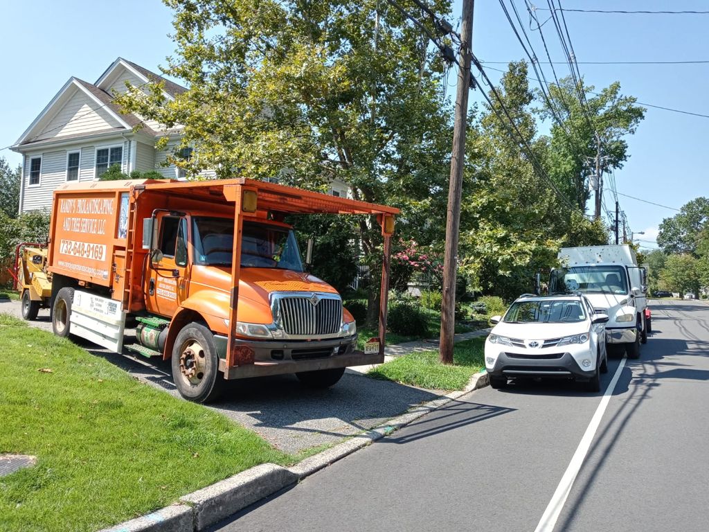 Tree Service Job in East Brunswick