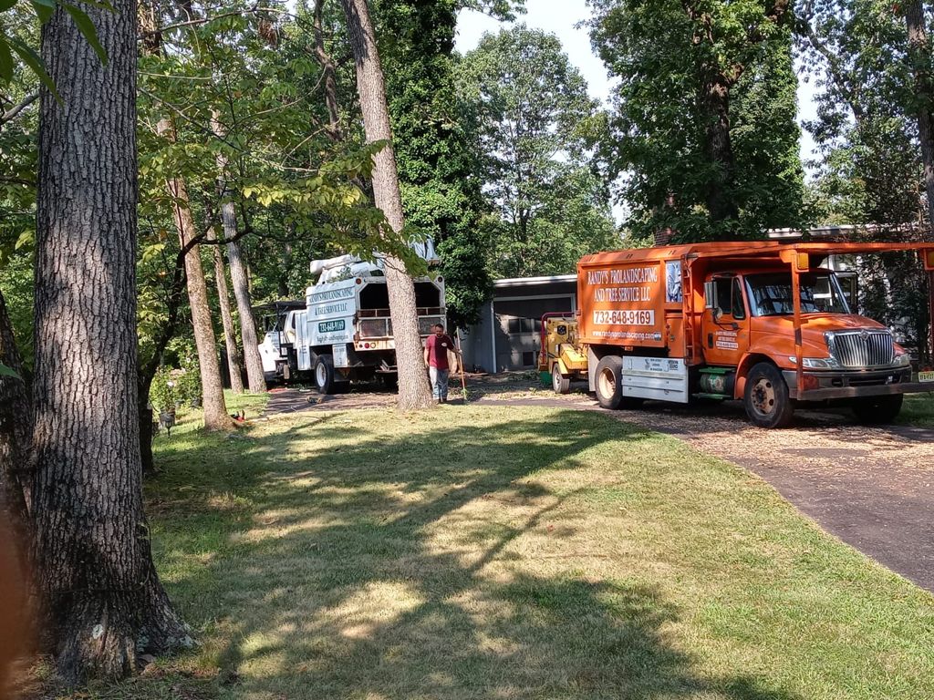 Tree Service Job in Martinville