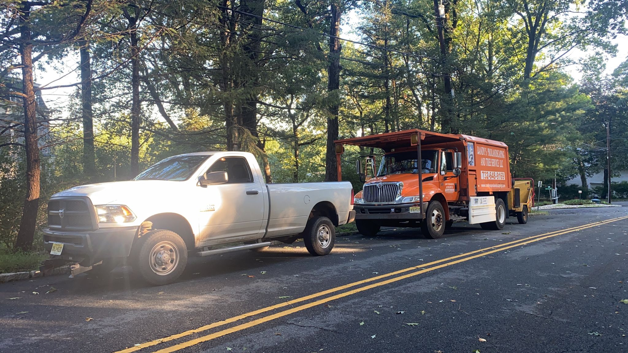 Tree Service in New Providence,NJ on Burlington Rd