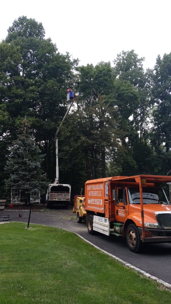 Tree Service Job in New Providence