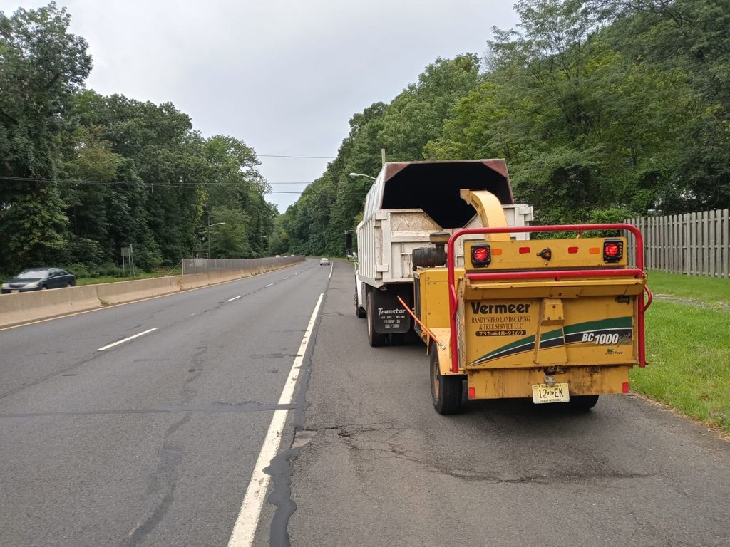 Tree Service in Scotch Plains,NJ on Mountainview Ave