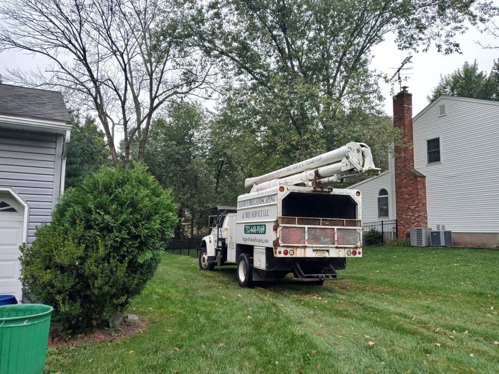 Tree Service in Bridgewater,NJ on Hancock Ave