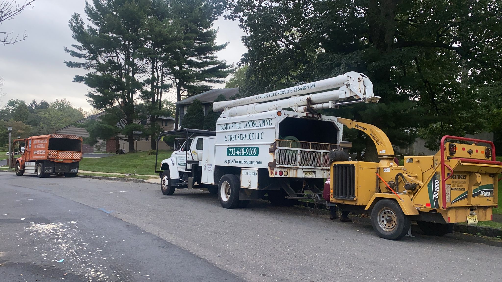 Tree Service Job in East Brunswick
