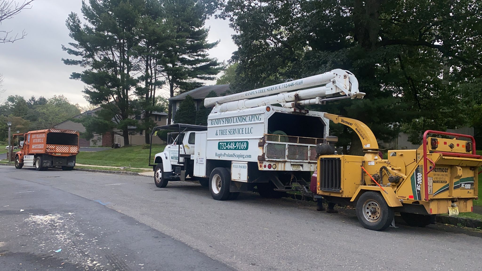 Tree Service in East Brunswick,NJ on Helena St