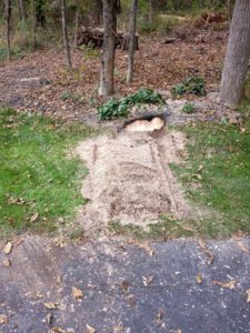 Tree Service in GR Clinton,NJ on Old Jericho Rd