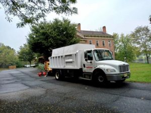 Tree Service in Hillsborough,NJ on Amwell Rd