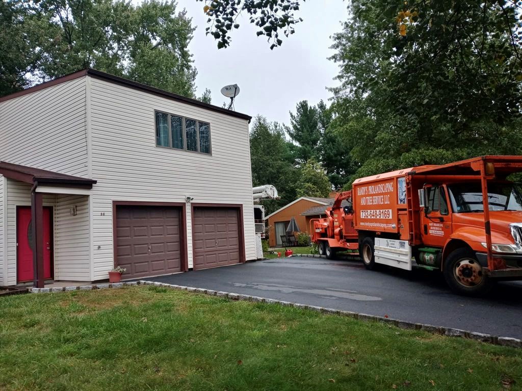 Tree Service Job in Piscataway