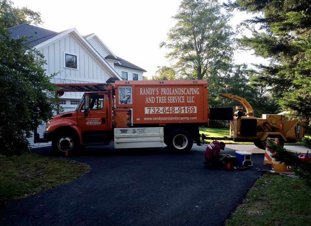 Tree Service in Princeton,NJ on Snowden Ln