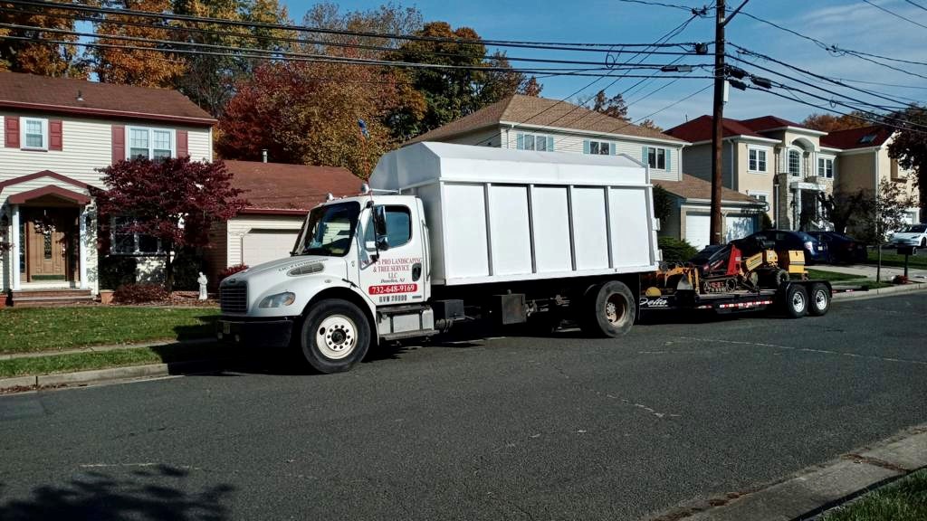 Tree Service in Edison,NJ on Gloria Ave