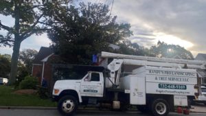 Tree Service in Edison,NJ on Ridge Rd Apple St