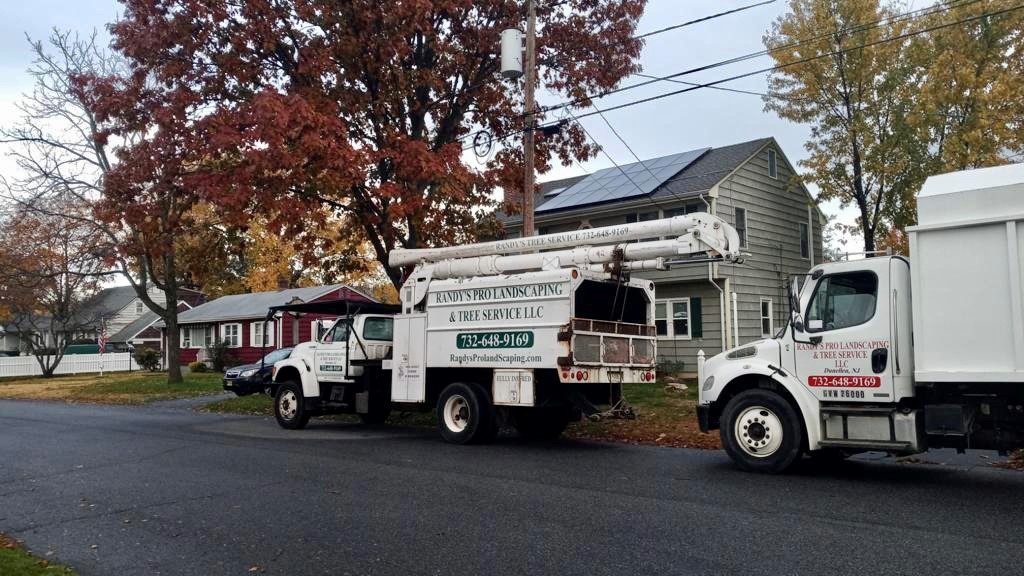 Tree Service in Middlesex,NJ on Fisher Ave
