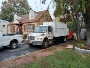 Tree Service in Piscataway,NJ on William St