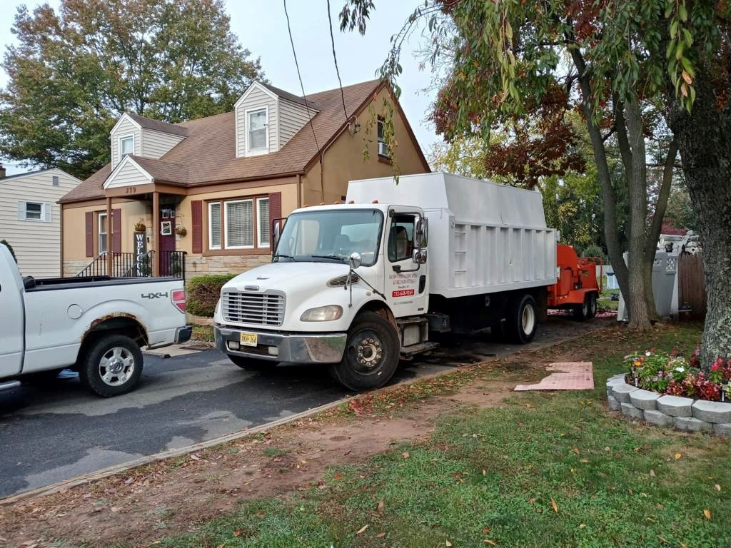 Tree Service in Piscataway,NJ on William St