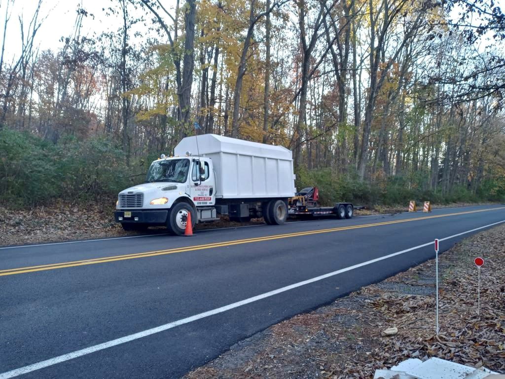 Tree Service in Warren,NJ on Round Top Rd